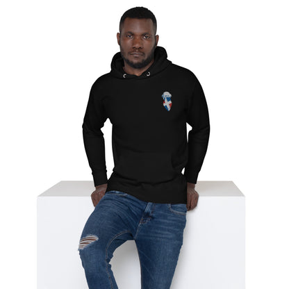 DN Hoodies Duarte Swagg LE